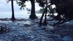 files-marshalls-flood-climate-fiji-germany-un-1509798977564