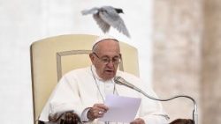 topshot-vatican-pope-audience-1510740167715.jpg