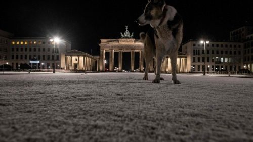 D: Bischof gegen Asylantragsprüfung von Getauften