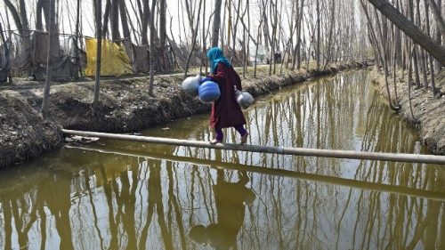 Pope Francis: ‘Water’ the most essential element for life