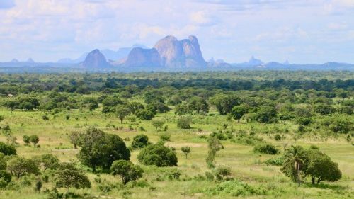 Qui est Al-Shabab, le groupe qui sévit au Mozambique ?