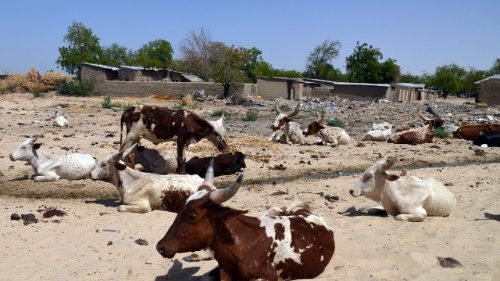 Église attaquée au Nigeria, au moins 18 morts dont deux prêtres 