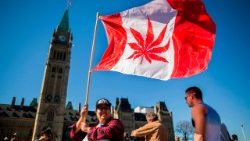 files-canada-cannabis-legalization-1529352263965.jpg
