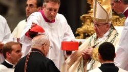vatican-pope-consistory-1530197091739.jpg