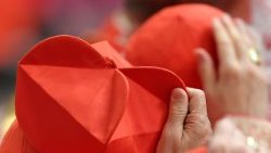vatican-pope-consistory-1530201593870.jpg