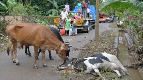 Indien: „Die größte Schande des Landes sind die Lynchmorde“