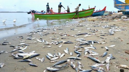Indien: Regierung will keine ausländischen Hilfen für Flutopfer
