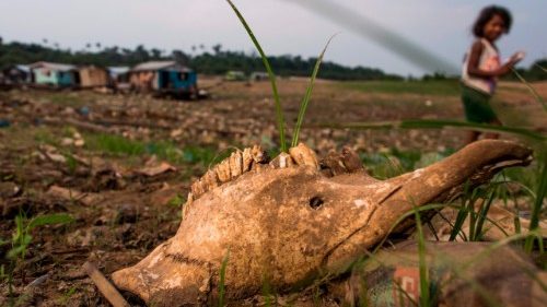 Hilfswerke übergeben Bericht zur Lage im Amazonasgebiet an deutsche Regierung