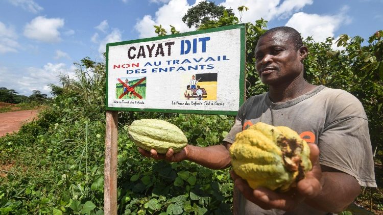 A cocoa farmer of an agricultural cooperative in Ivory Coast saying it is child-labour free.