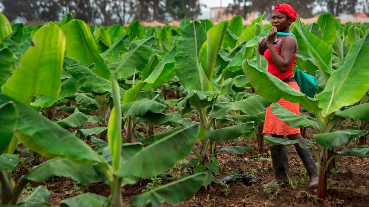 Tafakari ya Neno la Mungu Jumapili XVIII ya Mwaka C wa Kanisa: Rasilimali, utajiri wa dunia na karama mbali mbali ziwe ni nyenzo za huduma kwa Mungu na jirani!