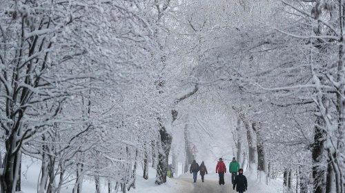 Deutschland: Bistum Erfurt stellt Strafanzeige gegen Priester