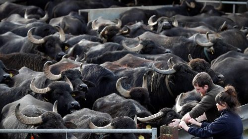 Englischer Kardinal: Brexit wird soziale Not vergrößern