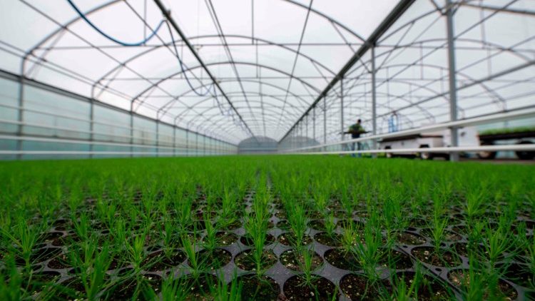 प्राकृतिक दृश्य