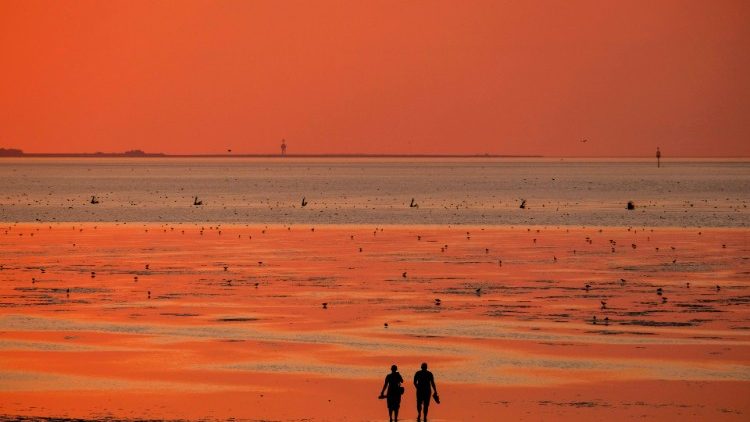 Cada fiel cristão, cada membro da família humana pode contribuir para tecer, como um fio sutil mas único e indispensável, a rede da vida que a todos abraça