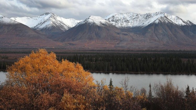 Die Sorge um unser gemeinsames Haus: Ein Herzensanliegen auch von Papst Franziskus