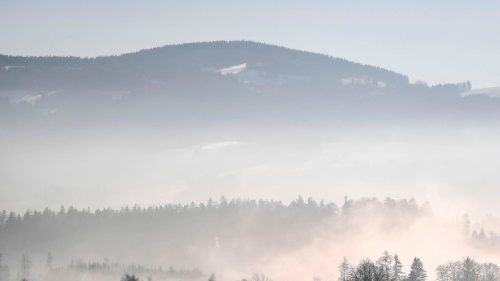 D: Katholikenräte rufen in Reformdebatte zur Mitarbeit auf