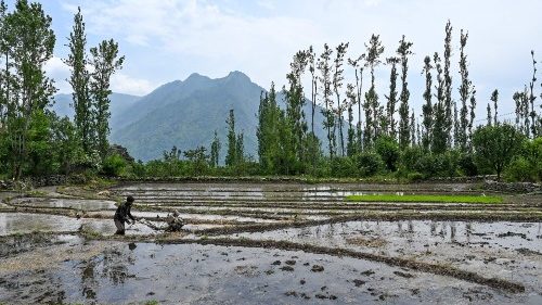 Année Laudato Si’: l’enjeu est «d’accélérer la mise en œuvre» de l’encyclique 