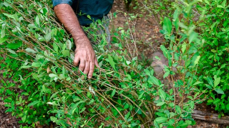 Pandemia zwiększa ryzyko uzależnienia od narkotyków