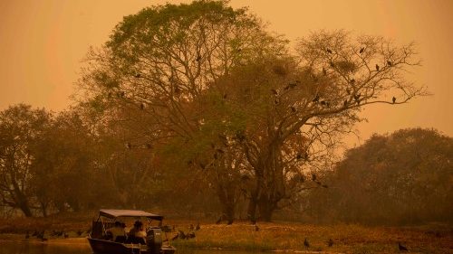 Catastrophe écologique en cours au Brésil 