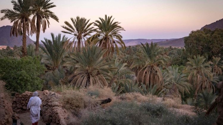 Figuig, à la frontière algéro-marocaine. 