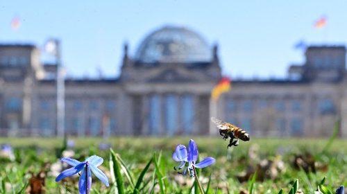 Beten im Reichstag? Wir schaffen das