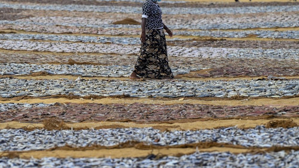 Nesta fotografia tirada em 28 de maio de 2021, um trabalhador passa por peixes salgados que estão no chão para secar em Negombo, onde matérias-primas de plástico e outros detritos estão sendo levados para a costa do navio porta-contêineres MV X-Press Pearl. (Foto de ISHARA S. KODIKARA / AFP)