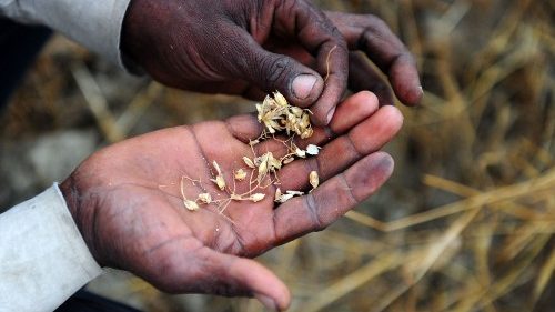 O Papa: guerras e misérias levam ao declínio da solidariedade fraterna
