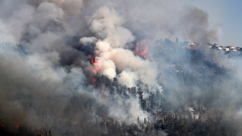 A fumaça sobe de um incêndio florestal nas montanhas de Jerusalém perto da aldeia israelense de Moshav Shoresh, em 16 de agosto de 2021. (Foto de Ahmad GHARABLI / AFP)