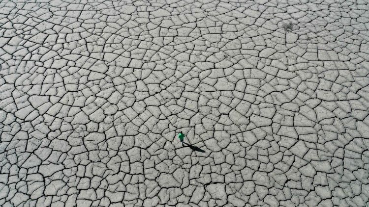 "Planeta saudável, pessoas saudáveis", iniciativa para sensibilizar instituições para a Conferência sobre o Clima