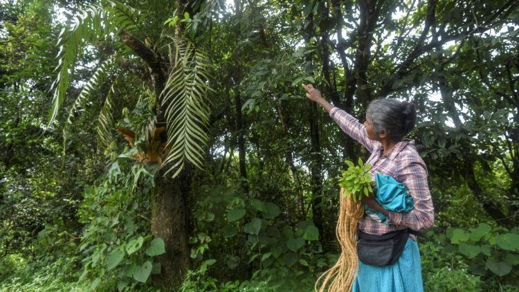 COP26: trzeba powstrzymać wylesianie do 2030 r.