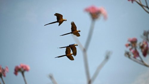 Via Crucis: "La scelta di vivere l'ideale della carità"