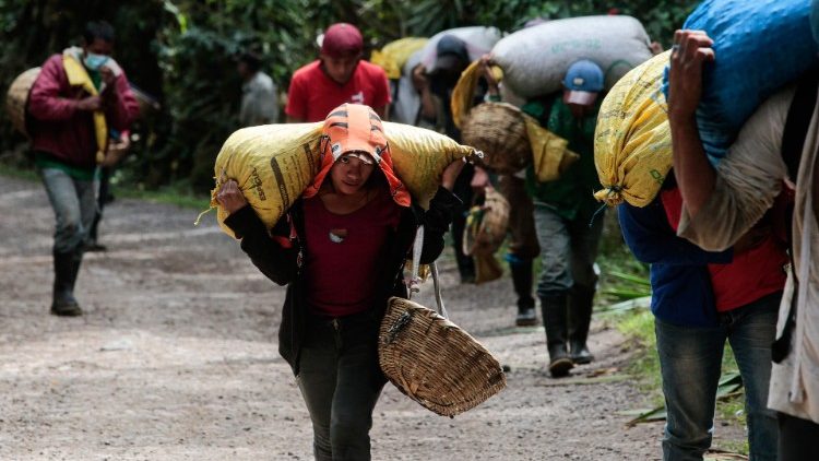 Kaffeepflücker in Nicaragua