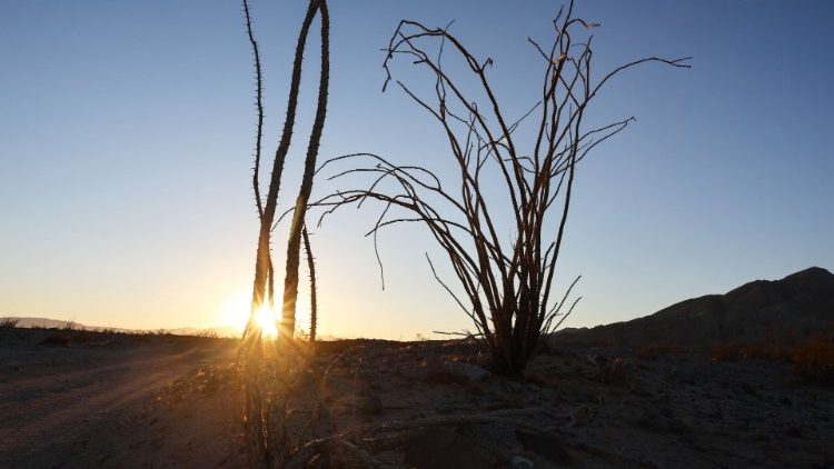 Heri za Mlimani ni muhtasari wa mafundisho makuu ya Kristo Yesu