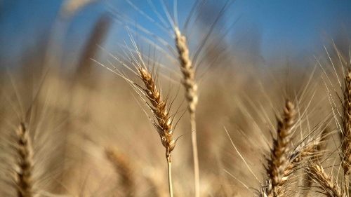 Jörg Alt: „Wir müssen alle Krisen, die es heute gibt, in Angriff nehmen"