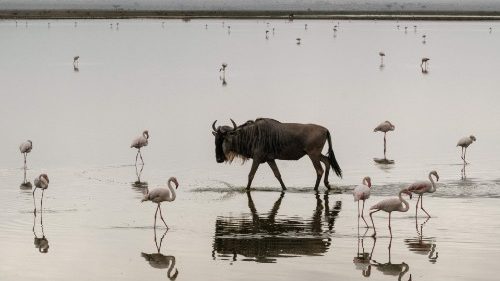 Kenia: „Hunger bedroht die Ärmsten, aber Politiker tun nichts“