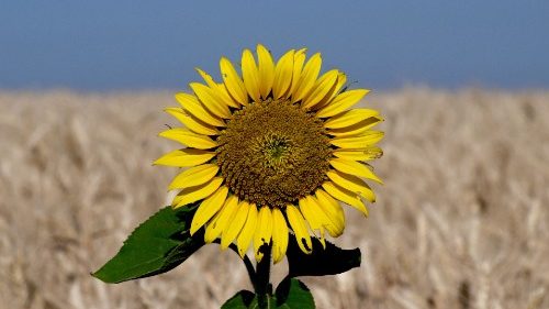 Schevchuk: responsabilidade social corporativa, a sabedoria na gestão dos negócios