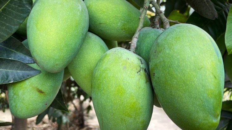 Mafanikio katika maisha yajenge upendo, umoja na udugu wa kibinadamu.