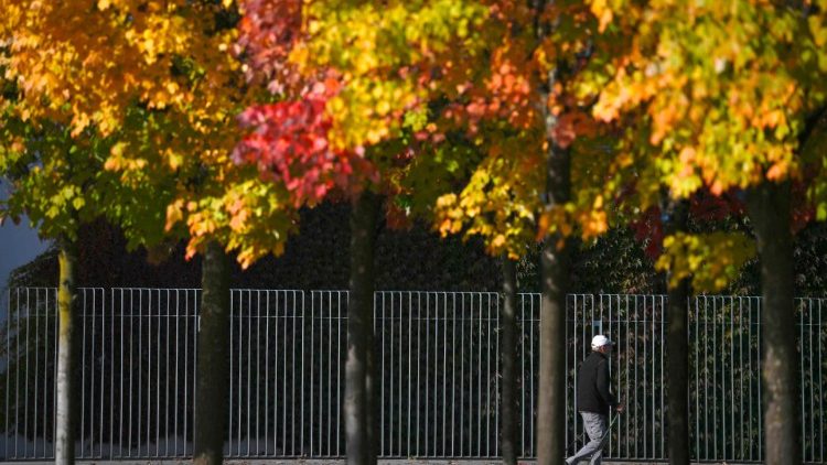 Bunte Farben schenkt der Herbst, aber auch düstere Tage