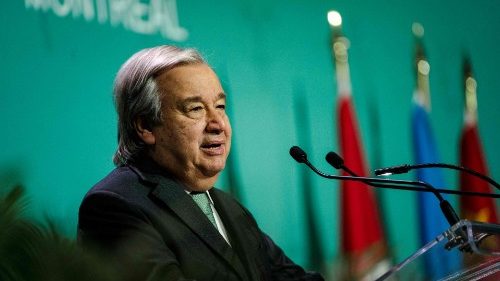 Al via COP15 sulla biodiversità: ultima chiamata per salvare le specie 