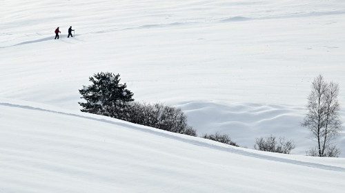 D: Reaktionen auf neuen Brief aus Rom zum Synodalen Weg