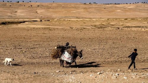 I cambiamenti climatici penalizzano l’agricoltura. Raccolti ridotti in Cina e India