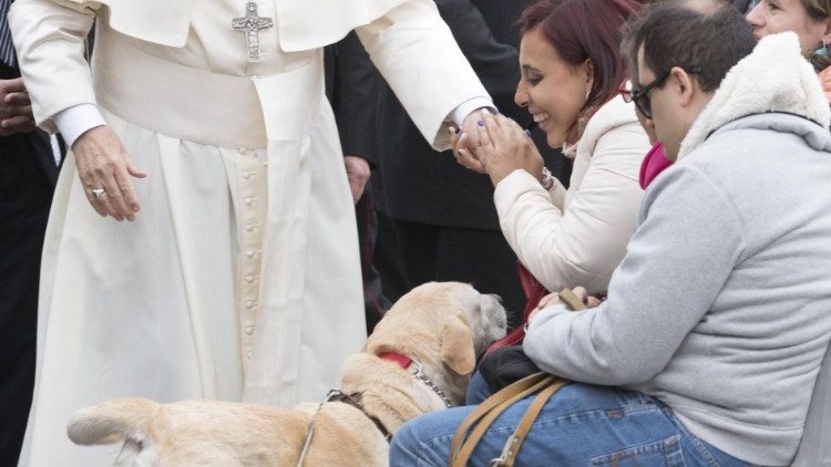 Pope Francis' general audience