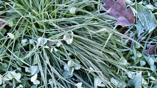 Polen: Interviewverbot für prominenten Pater