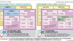 elezioni--come-si-vota--infografica-1519506198055.jpg