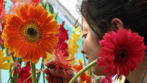  Ayuda a la Iglesia Necesitada rinde homenaje a la mujer cristiana 