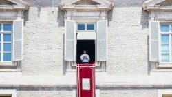 pope-francis-angelus-prayer-1528022557535.jpg