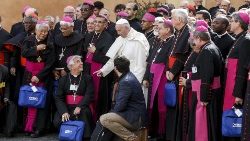 synod-of-bishops-1540646192224.jpg