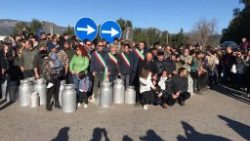 latte--ancora-proteste-in-sardegna--pastori-s-1549962882104.jpg