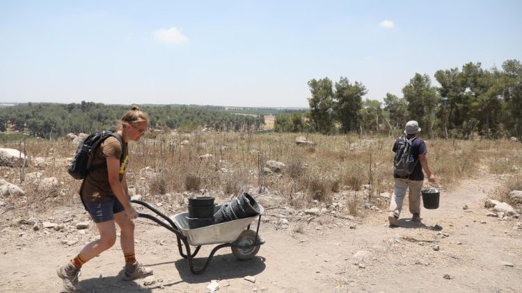 Ausgräber in der Nähe von Kiryat Gat in Südisrael