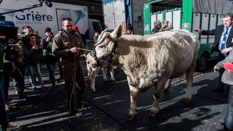 Salon de l'agriculture